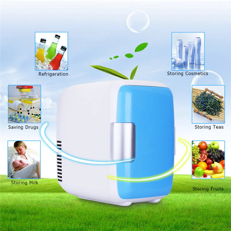 Mini Fridge