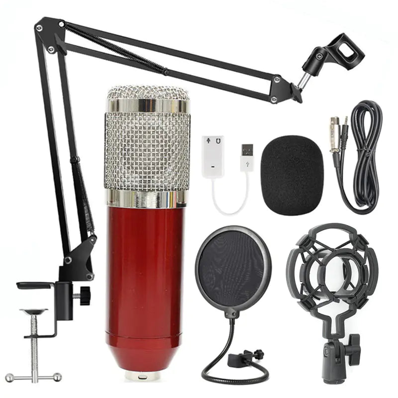 KTV Pro Microphone Kit with Windshield