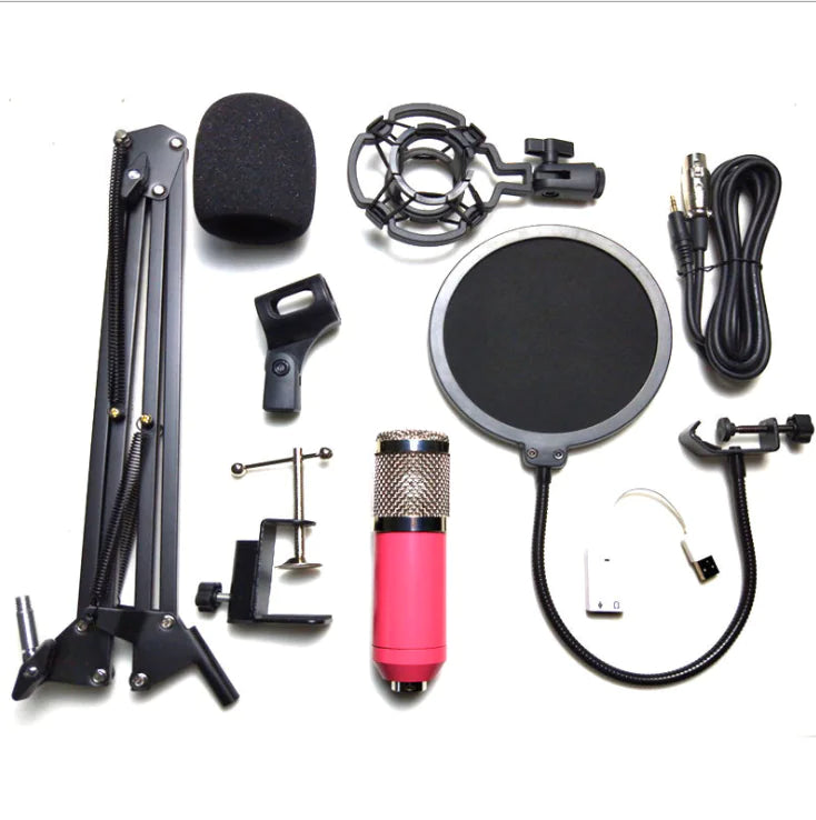 KTV Pro Microphone Kit with Windshield