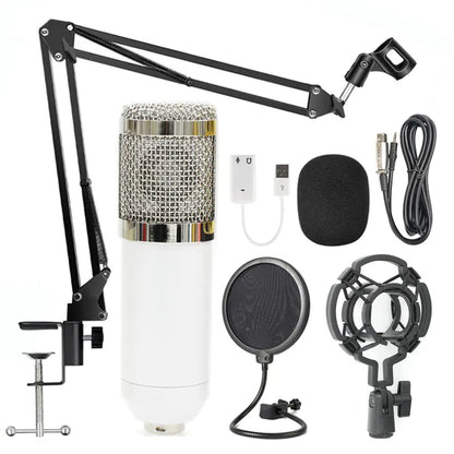 KTV Pro Microphone Kit with Windshield