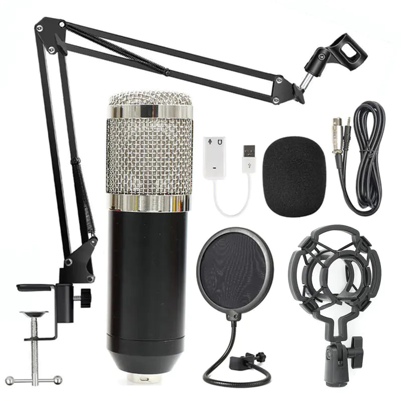 KTV Pro Microphone Kit with Windshield