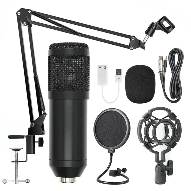 KTV Pro Microphone Kit with Windshield