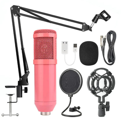 KTV Pro Microphone Kit with Windshield