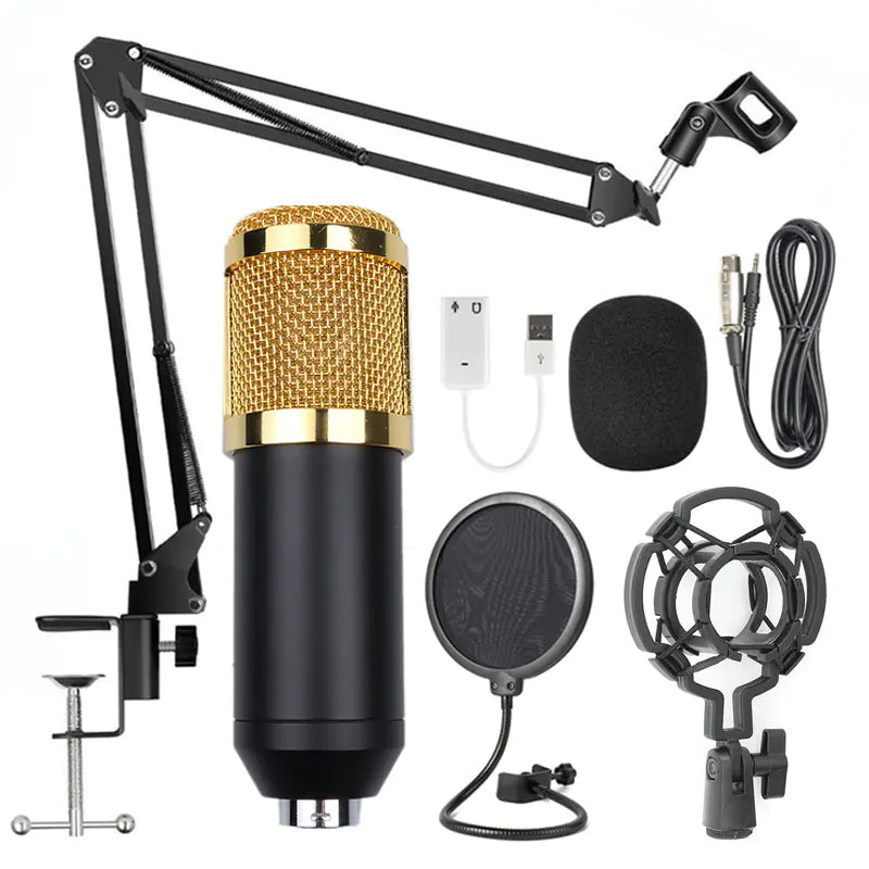 KTV Pro Microphone Kit with Windshield