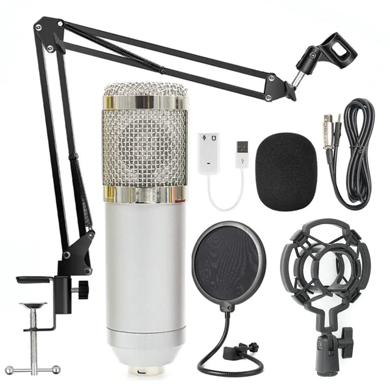KTV Pro Microphone Kit with Windshield