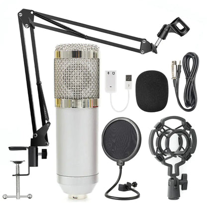 KTV Pro Microphone Kit with Windshield
